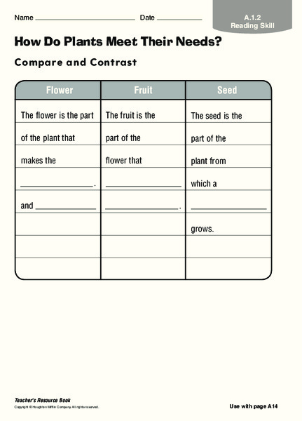 How Do Plants Meet Their Needs? Organizer