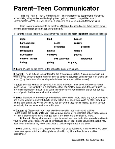 Values Survey Lesson Plan