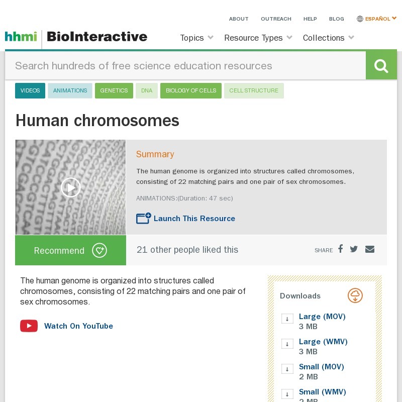 Human Chromosomes Instructional Video