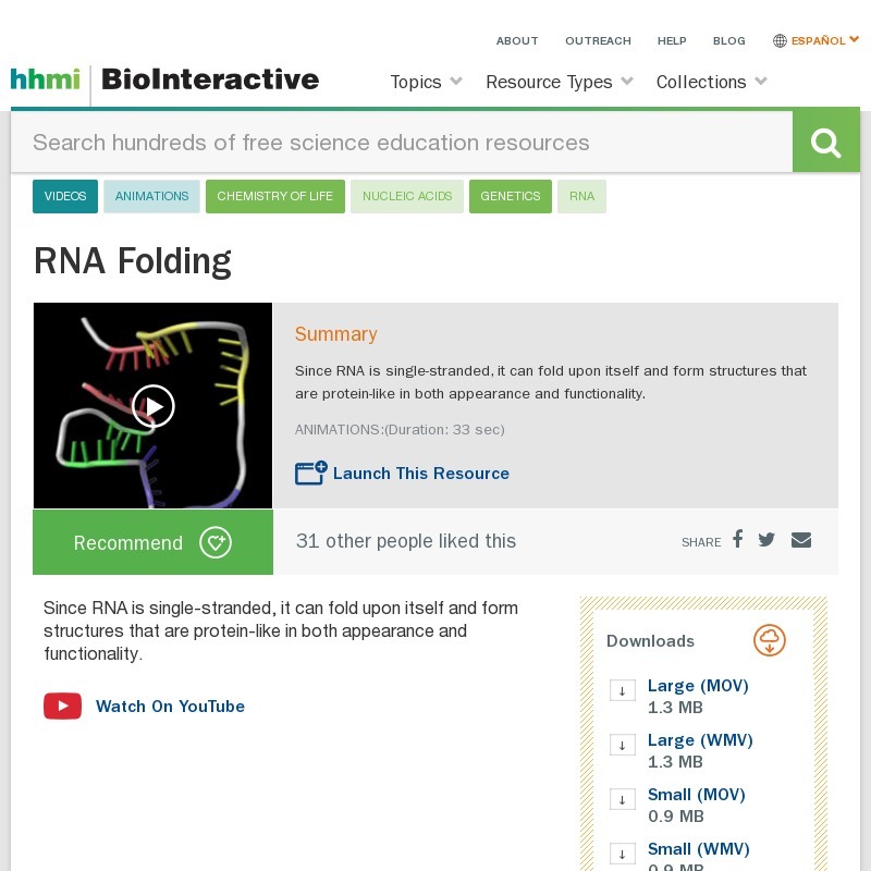 RNA Folding Instructional Video