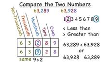 How Do You Compare Two Whole Numbers? Instructional Video