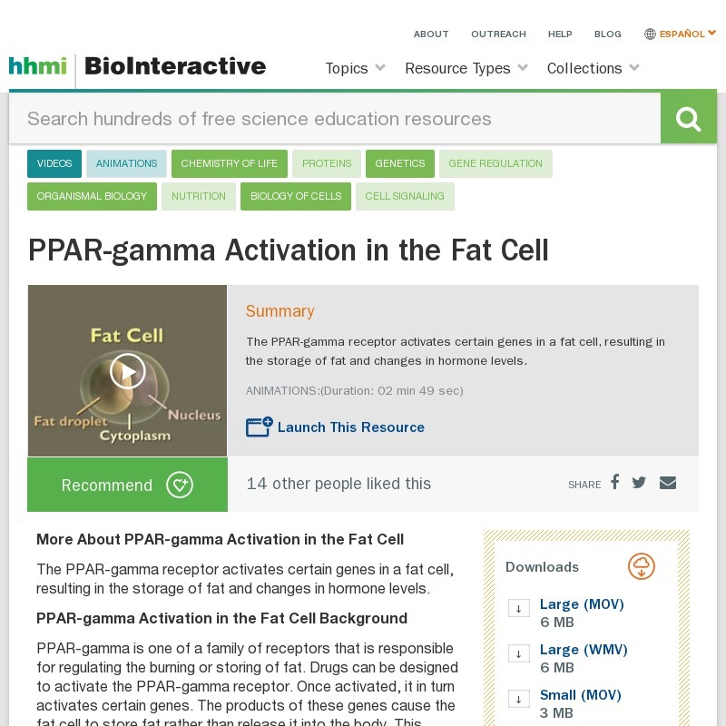 PPAR-gamma Activation in the Fat Cell Instructional Video