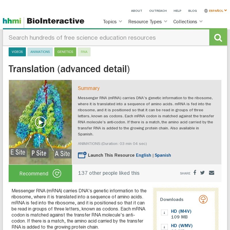 Translation (Advanced Detail) Instructional Video