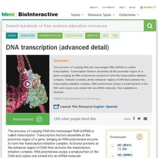 DNA Transcription (Advanced Detail) Instructional Video