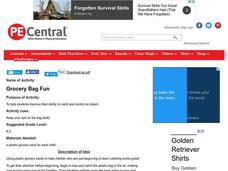 Grocery Bag Fun Lesson Plan