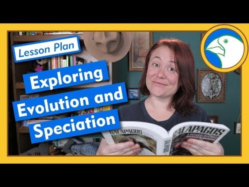 Exploring Evolution and Speciation - Lesson Plan Instructional Video
