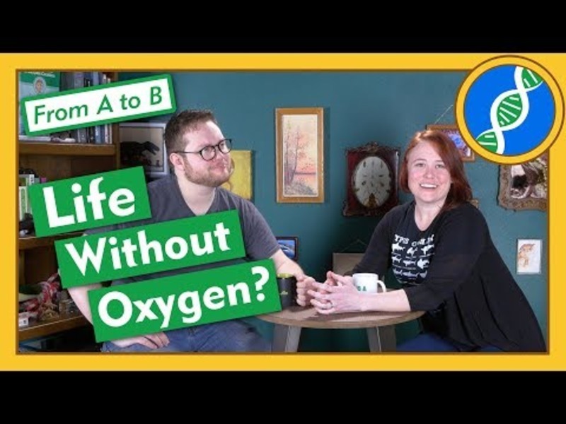 Can Complex Life Evolve Without Oxygen? - From A to B Instructional Video