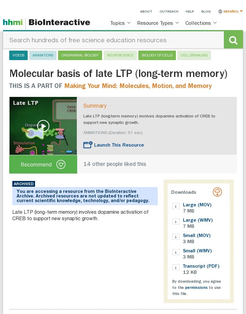 Molecular Basis of Late Ltp (Long-Term Memory) Instructional Video