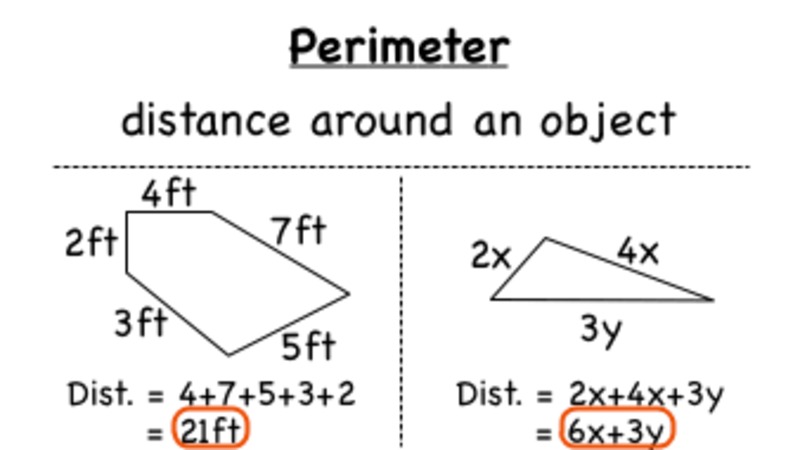How Do You Find the Perimeter of a Shape? Instructional Video