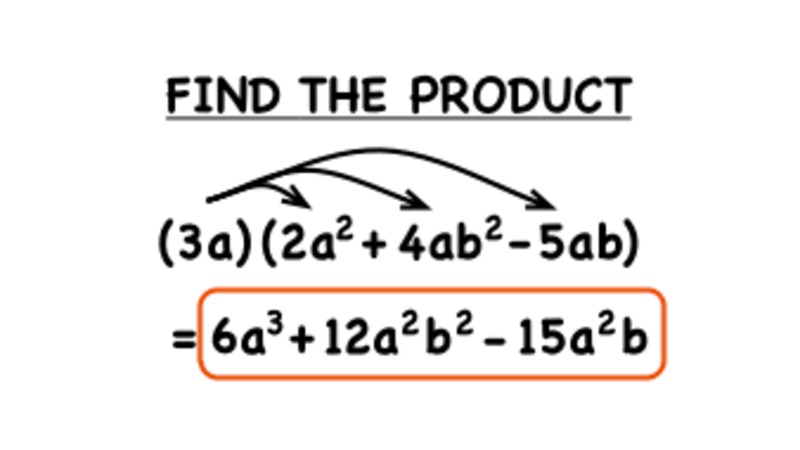 How Do You Multiply a Monomial by a Polynomial? Instructional Video