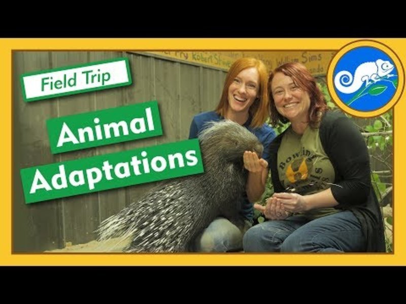 Adaptations at Animal Wonders - Field Trip Instructional Video