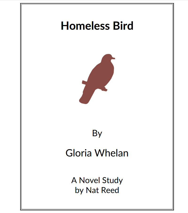 Homeless Bird: Novel Study Study Guide