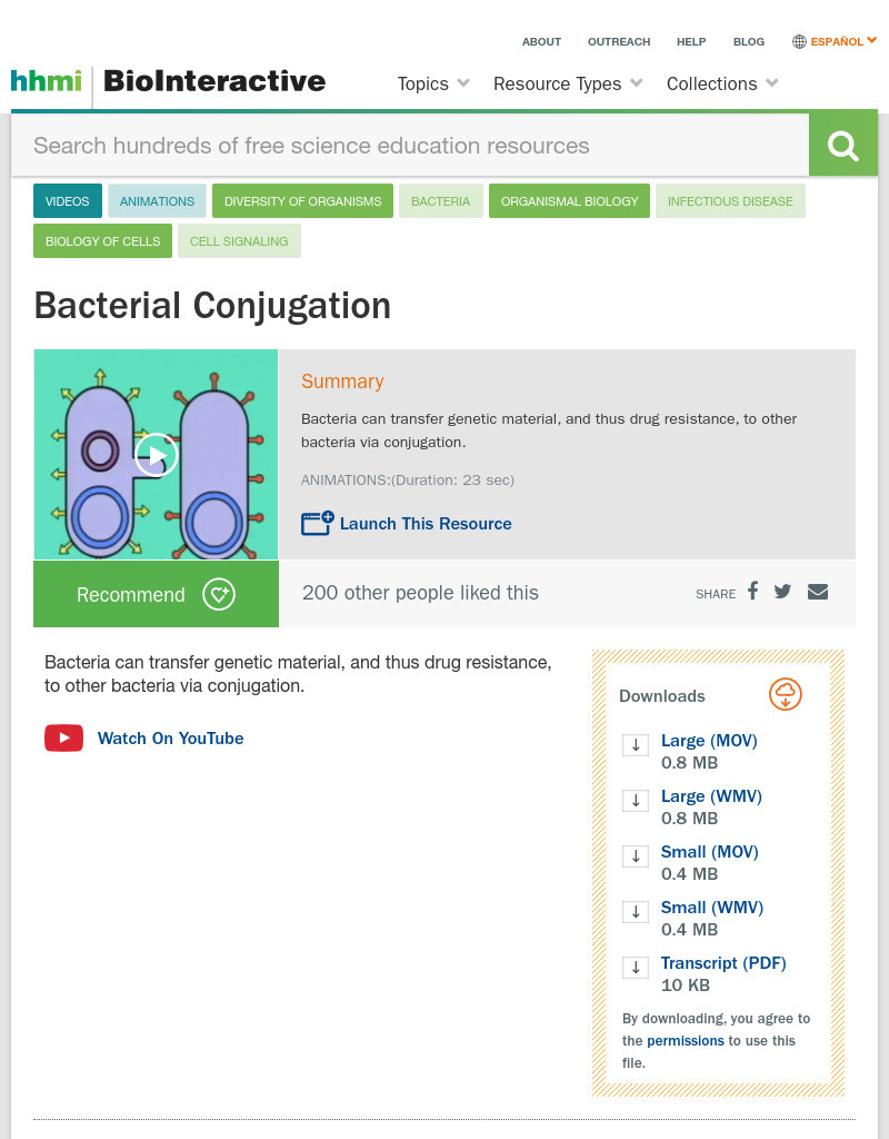 Bacterial Conjugation Instructional Video