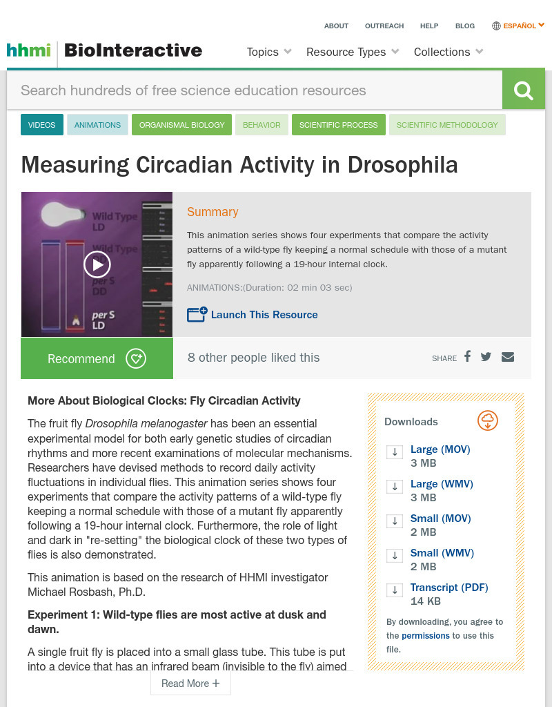 Measuring Circadian Activity in Drosophila Instructional Video