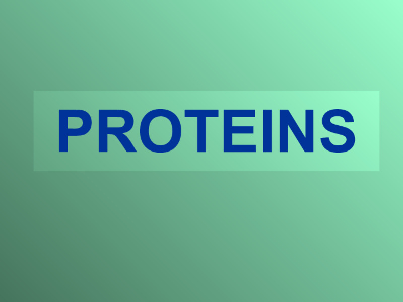 Proteins PPT