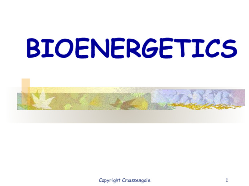 Bioenergetics PPT