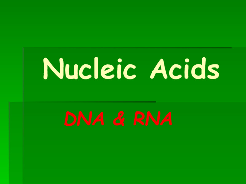 Nucleic Acids PPT