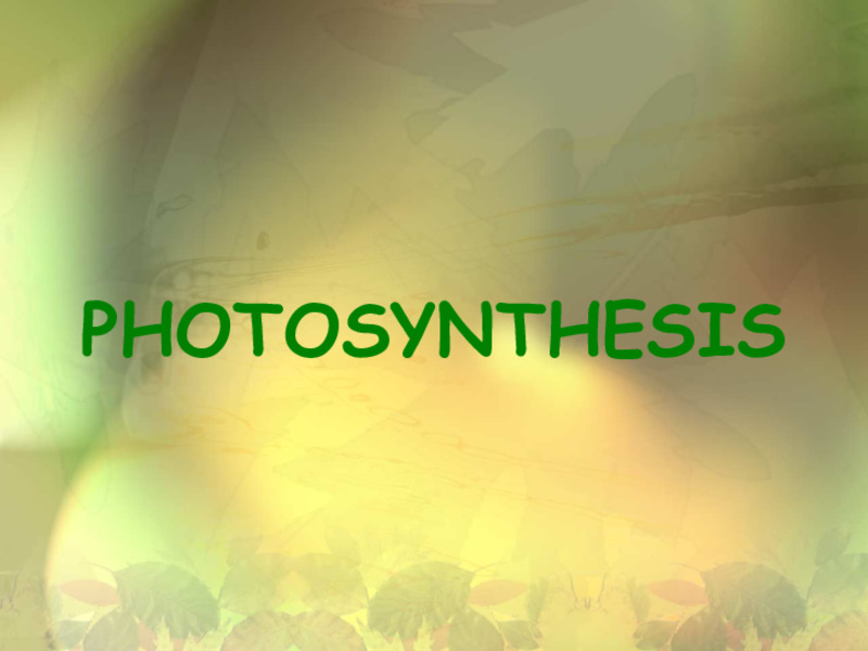 Photosynthesis PPT
