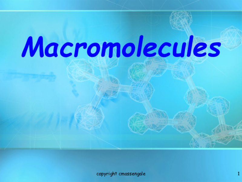 Macromolecules PPT