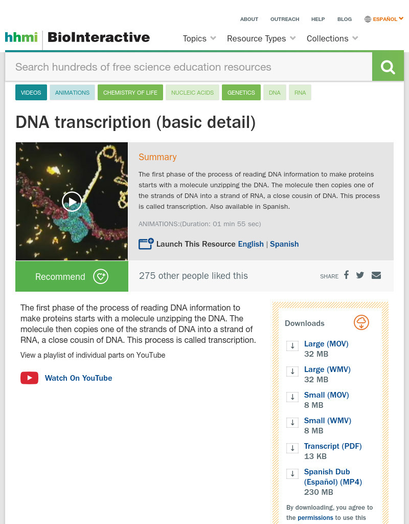 DNA Transcription (Basic Detail) Instructional Video