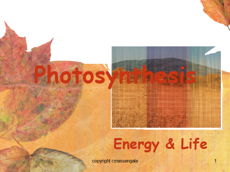 Photosynthesis: Energy and Life PPT