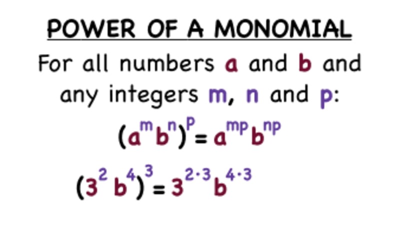 How Do You Take the Power of a Monomial? Instructional Video