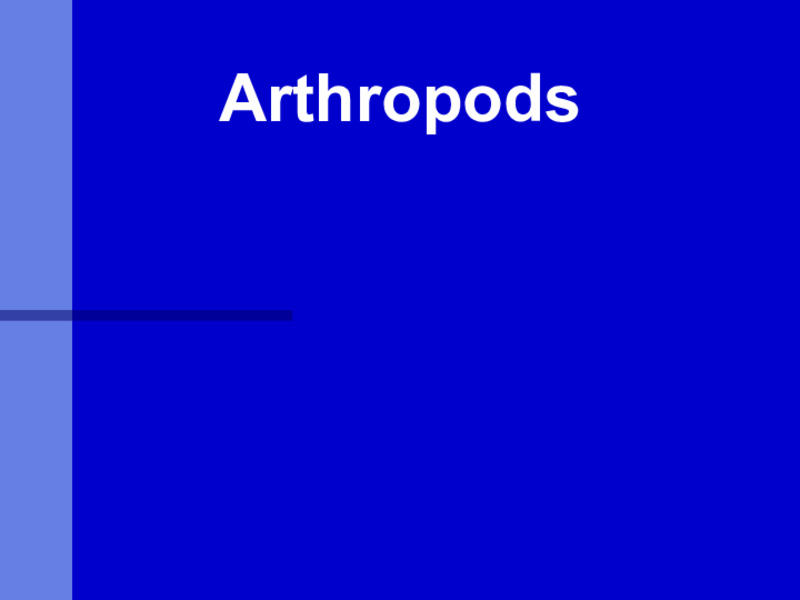 Arthropods PPT