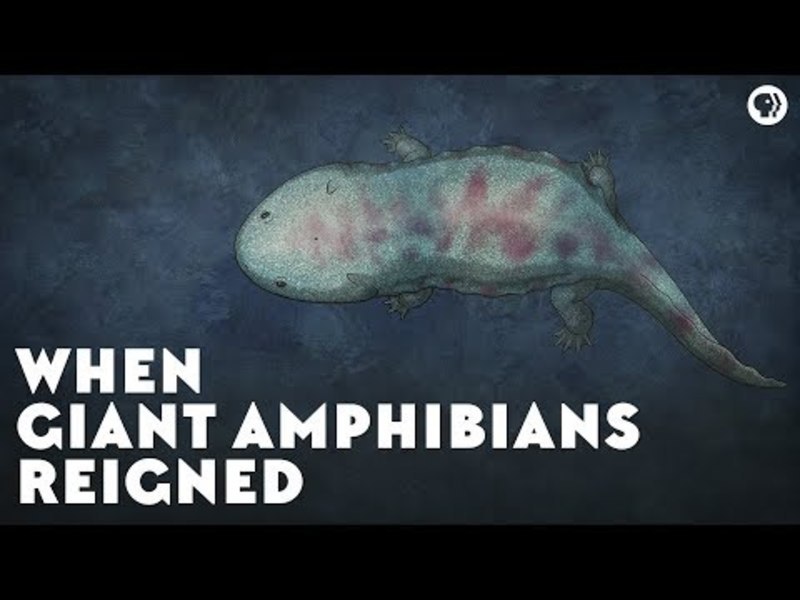When Giant Amphibians Reigned Instructional Video