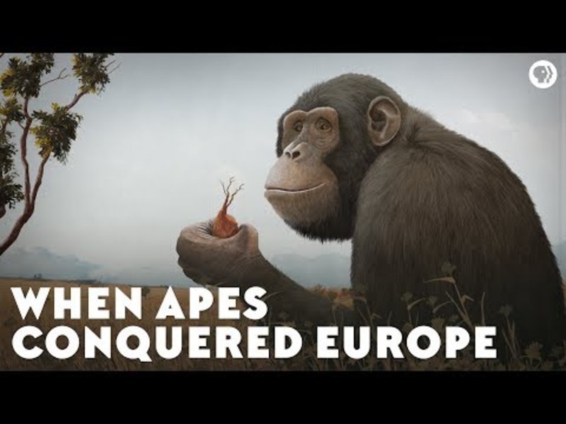 When Apes Conquered Europe Instructional Video