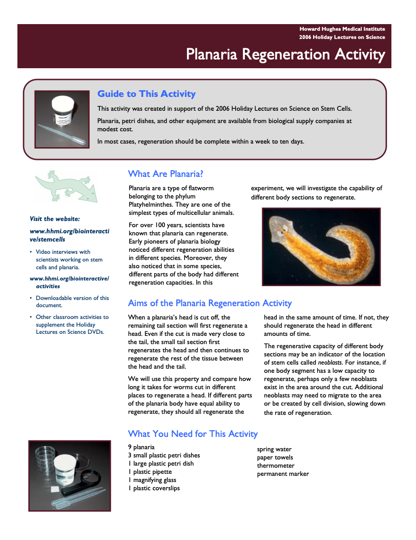 Classroom Activities: Planaria Regeneration Activity Activity