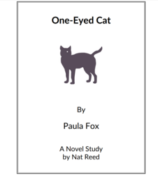 One-Eyed Cat: Novel Study Study Guide