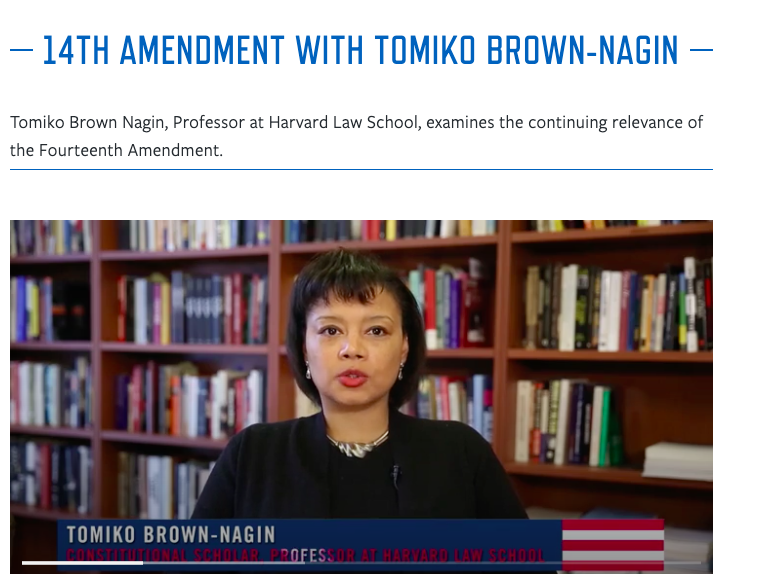 14th Amendment with Tomiko Brown-Nagin Instructional Video
