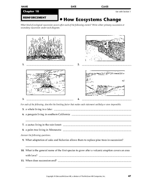 How Ecosystems Change Worksheet