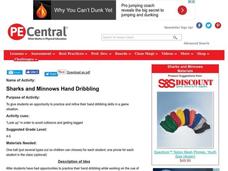 Sharks and Minnows Lesson Plan