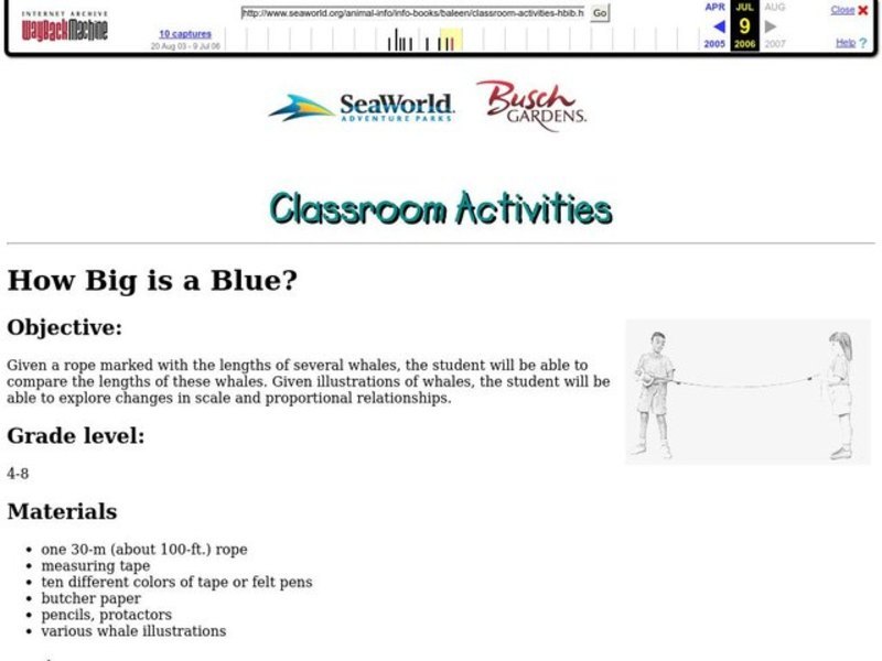 HOW BIG IS A BLUE? Lesson Plan