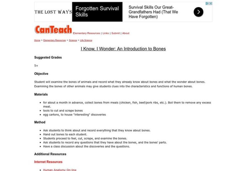 I Know, I Wonder: An Introduction to Bones Lesson Plan