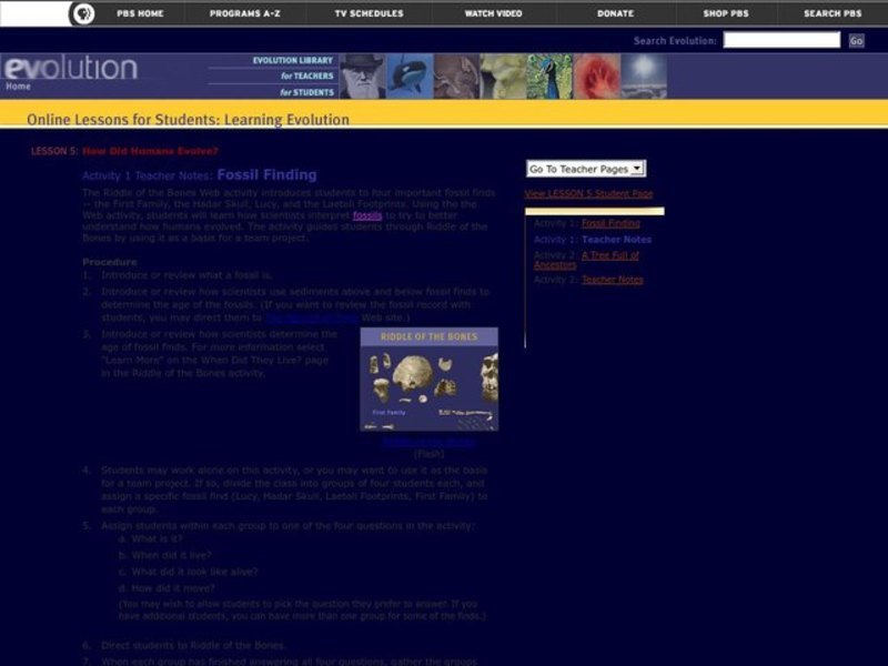 How Did Humans Evolve? Lesson Plan