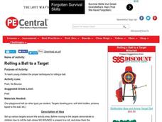 Rolling a Ball to a Target Lesson Plan