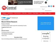 Muscle Stretch Research Lesson Plan