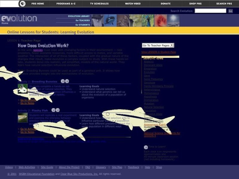 How Does Evolution Work? Lesson Plan