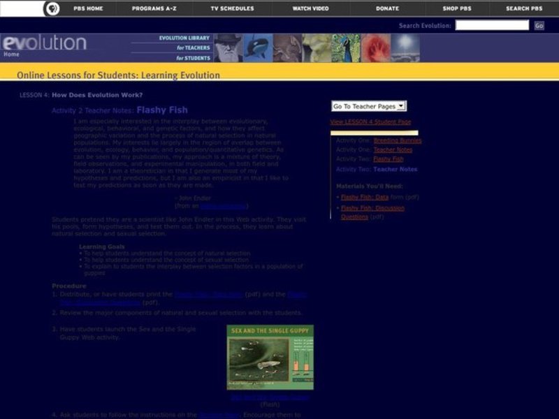 How Does Evolution Work? Lesson Plan