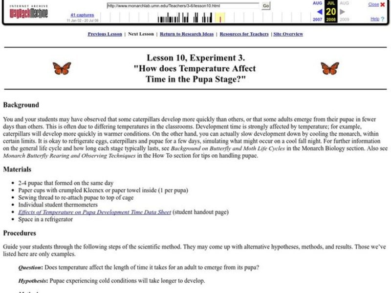 How does Temperature Affect Time in the Pupa Stage? Lesson Plan
