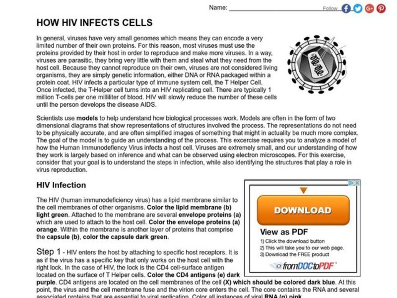 How HIV Infects Cells Worksheet