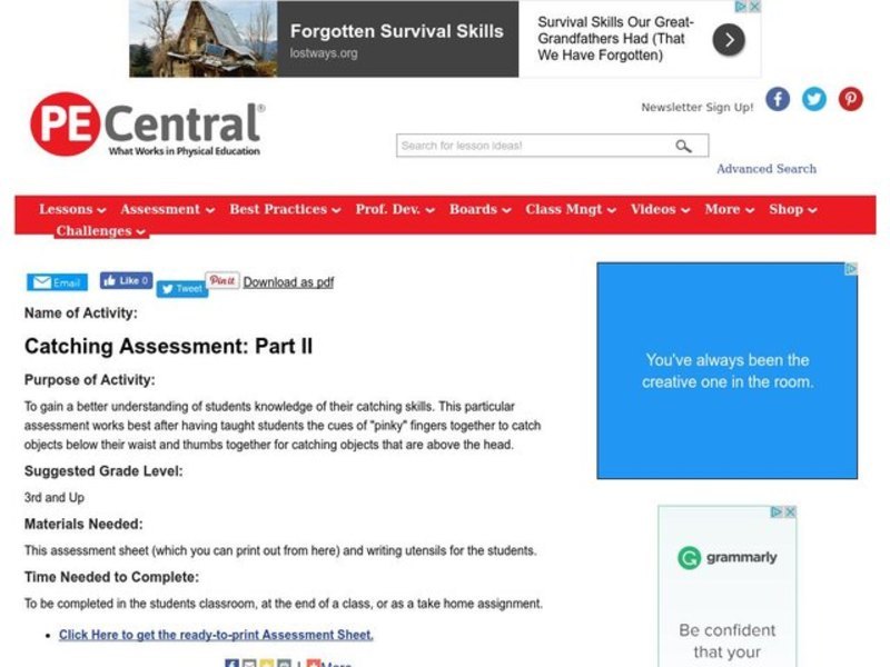 Catching Assessment: Part II Lesson Plan