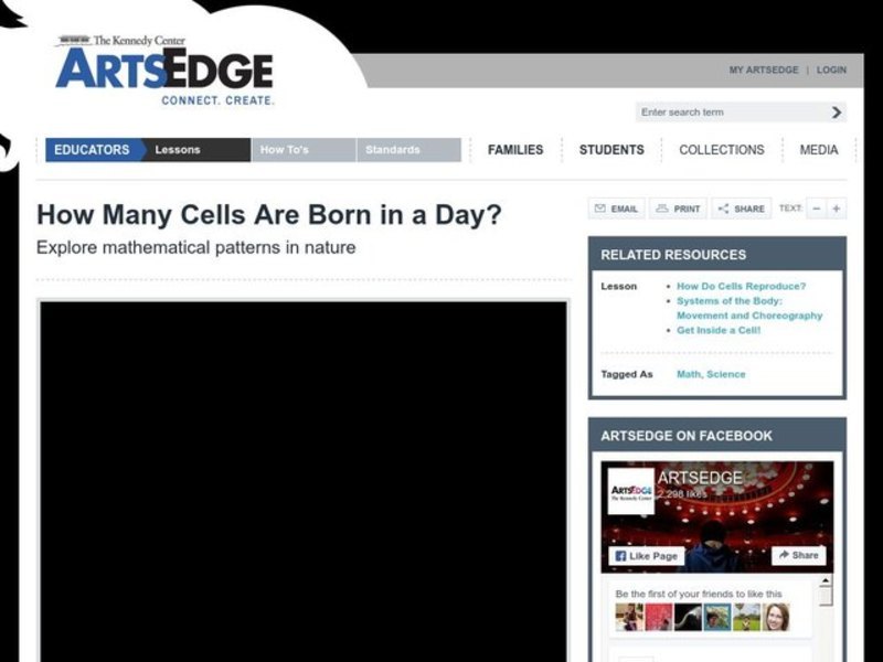 How Many Cells Are Born in a Day? Lesson Plan
