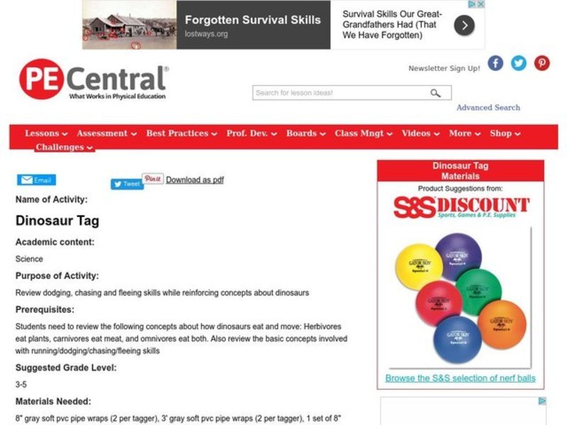 Dinosaur Tag Lesson Plan
