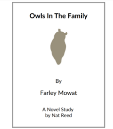 Owls In The Family: Novel Study Study Guide