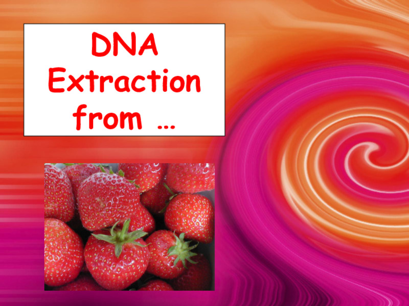 Strawberry DNA PPT