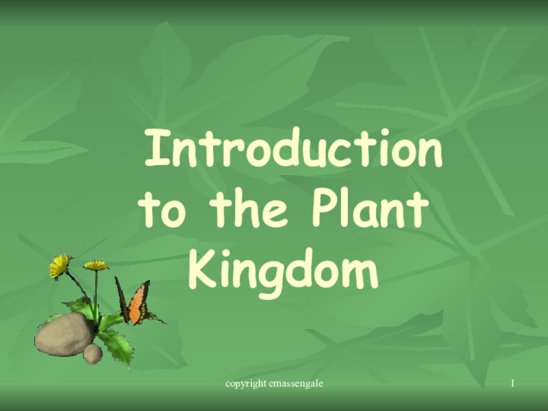 Introduction to the Plant Kingdom PPT