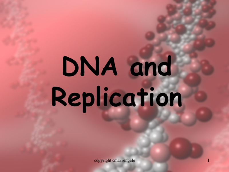 DNA and Replication PPT